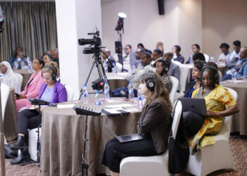 Roundtable Discussion Hosted by Connect for Culture Africa Advocates for Increased Public Investment